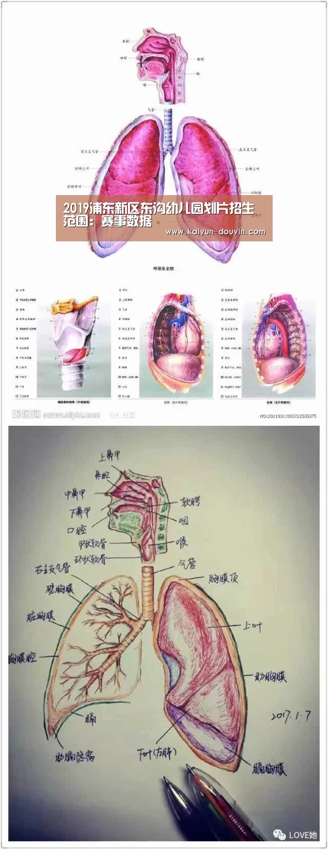 2019浦东新区东沟幼儿园划片招生范围：赛事数据